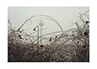 serie02-05